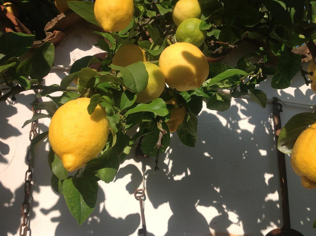סן ויטו B&B Martina מראה חיצוני תמונה